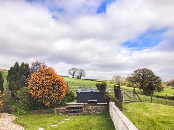 Ffynnonlwyd Cottage Llangynin ภายนอก รูปภาพ